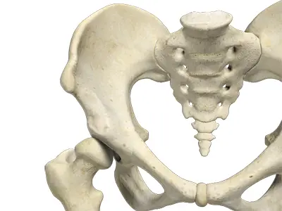 Causes of Ligamentum Teres of Tears - Benjamin Domb MD