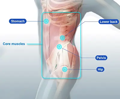 Core Muscle Injury