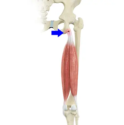 Symptoms - Benjamin Domb MD